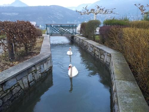 Studio les Pieds dans L'eau au bord du lac d'Annecy