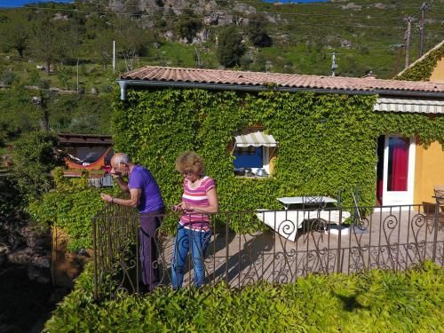 Outdoor Pictures 10