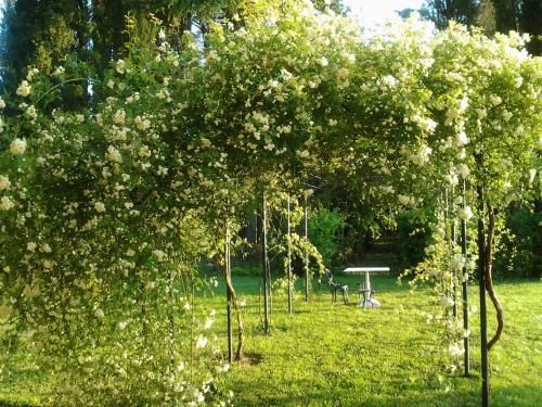Outdoor Pictures 10
