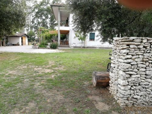 Outdoor Pictures 10