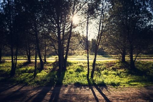 Outdoor Pictures 24