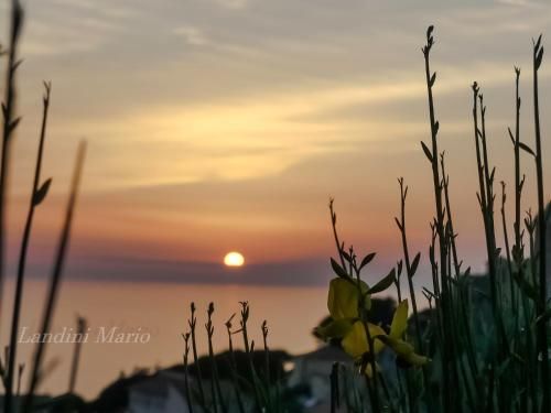 Outdoor Pictures 24
