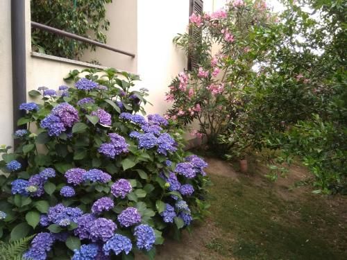 Outdoor Pictures 17