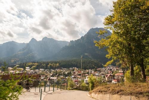 Outdoor Pictures 21