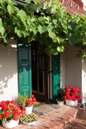 Outdoor Pictures 21
