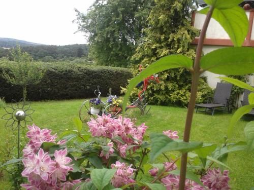 Outdoor Pictures 9