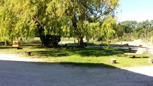 Outdoor Pictures 1