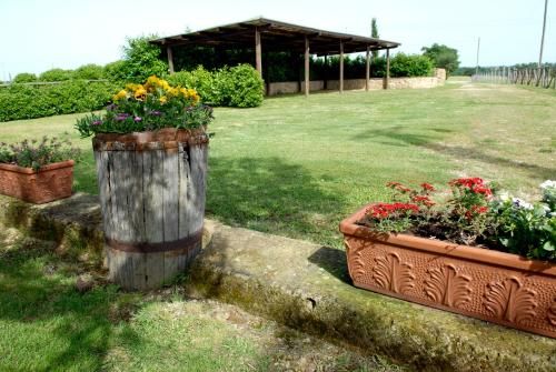 Outdoor Pictures 9