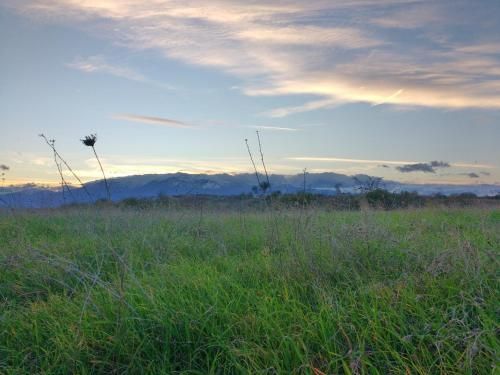 Outdoor Pictures 21