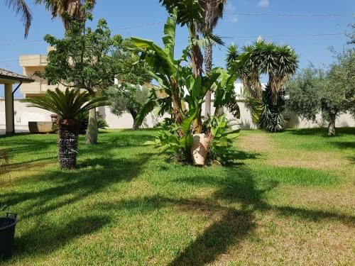 Outdoor Pictures 10