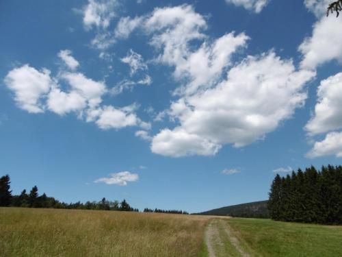 Outdoor Pictures 17