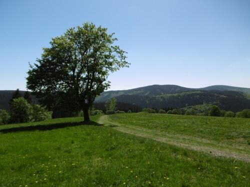 Outdoor Pictures 24