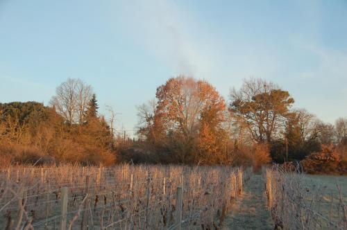Chateau Ysard