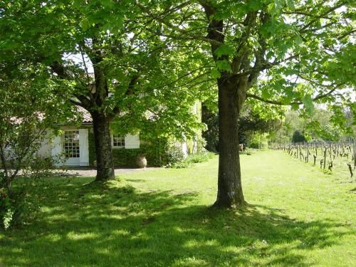 Chateau Ysard