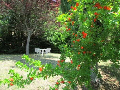 Outdoor Pictures 15