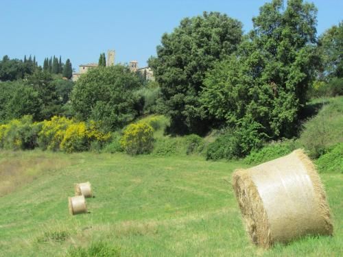 Outdoor Pictures 23