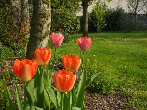 Outdoor Pictures 20