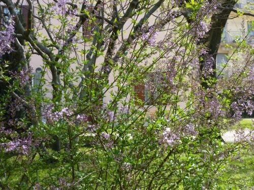 Outdoor Pictures 21