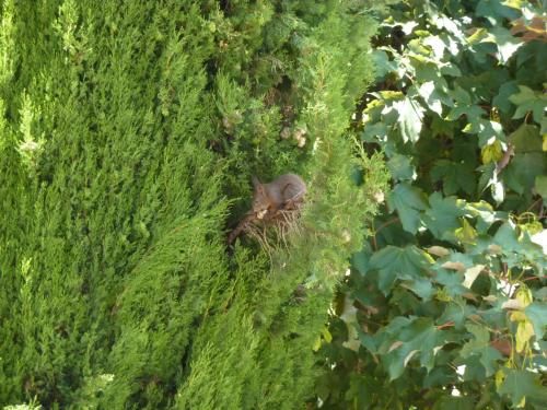 Outdoor Pictures 22