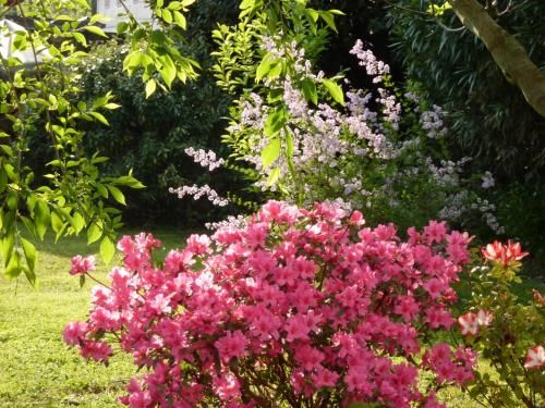Outdoor Pictures 24