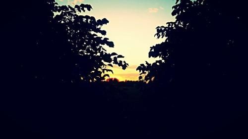 Outdoor Pictures 21