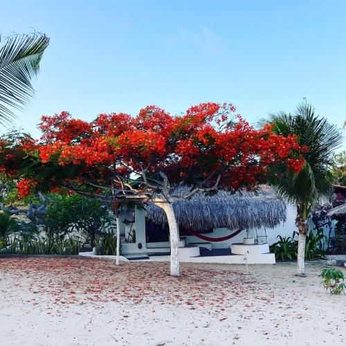 Casa Acquamarina
