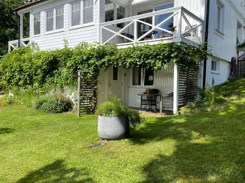Outdoor Pictures 3