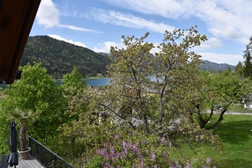 Outdoor Pictures 16