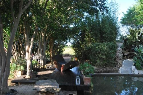 Outdoor Pictures 9