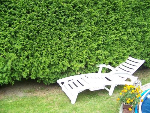 Outdoor Pictures 12