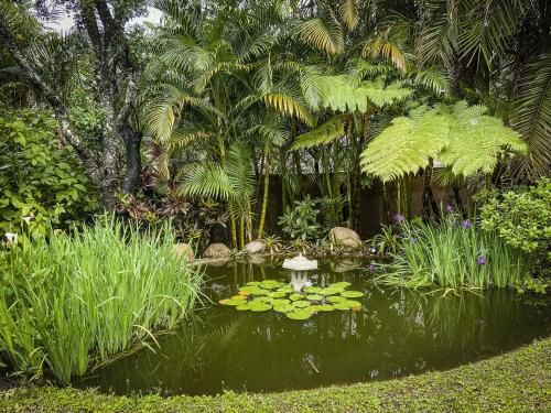 Outdoor Pictures 24