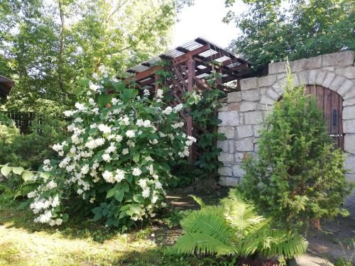 Outdoor Pictures 21