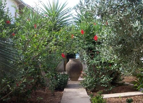 Outdoor Pictures 15