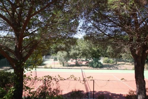 Outdoor Pictures 16