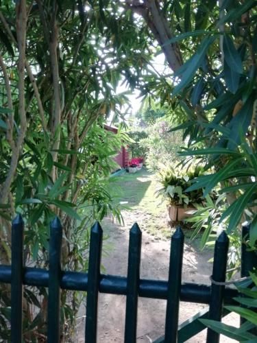 Outdoor Pictures 24