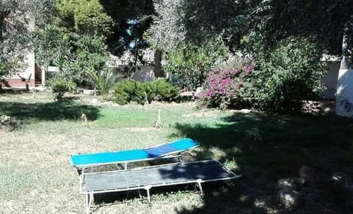 Outdoor Pictures 11