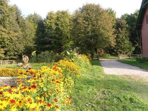 Outdoor Pictures 10
