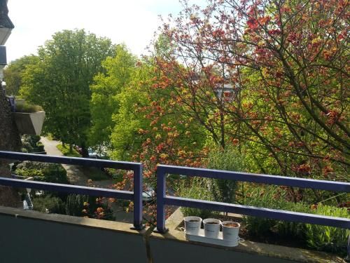 Outdoor Pictures 16