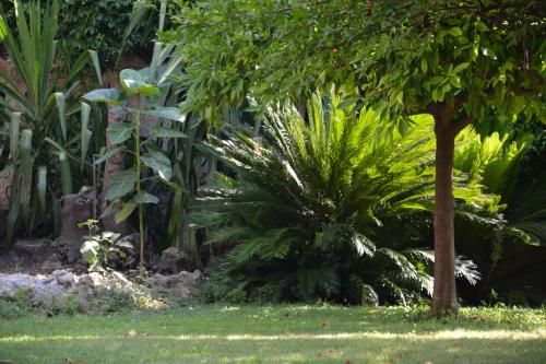 Outdoor Pictures 12