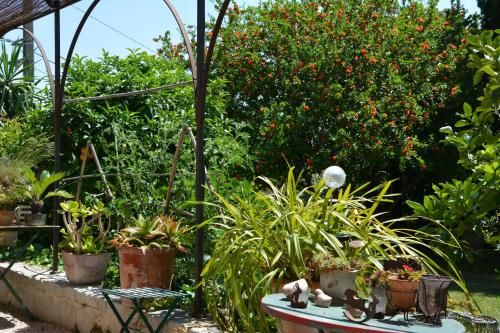 Outdoor Pictures 15