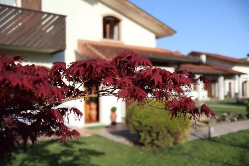 Outdoor Pictures 20