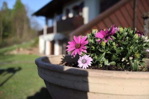 Outdoor Pictures 22