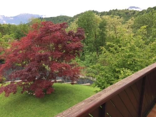 Outdoor Pictures 17