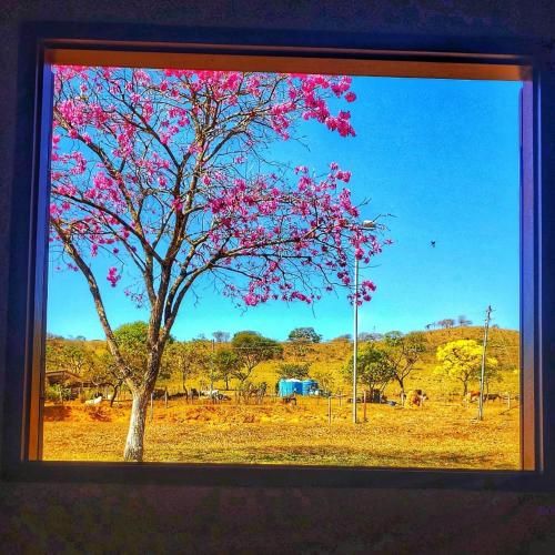 Outdoor Pictures 10