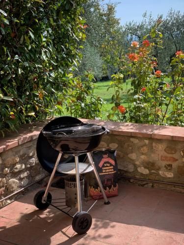 Outdoor Pictures 21
