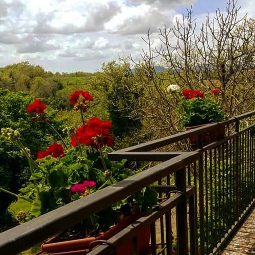 Outdoor Pictures 22