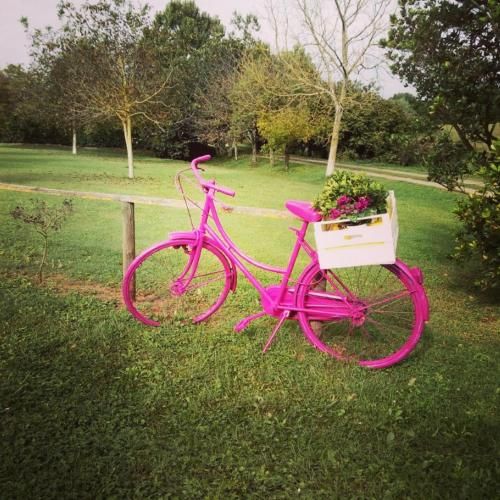 Outdoor Pictures 24