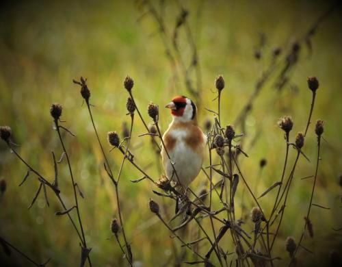 Outdoor Pictures 22