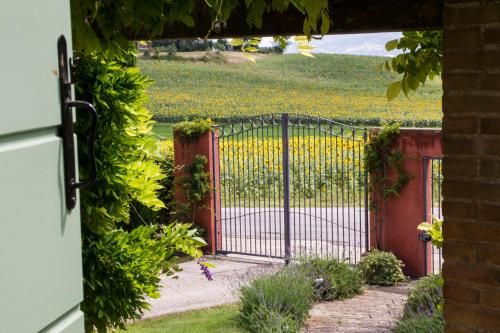 Outdoor Pictures 23