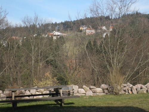 Outdoor Pictures 7